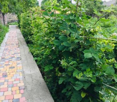Armenia House | Motkor Guest House