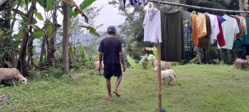 Banjarasri Other | Moto driver tour Borobudur , Rice terace, sacred waterfall