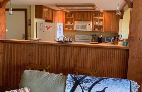 Mountain Air Condo | Mountain Air - Relaxing Pet Friendly Condo With Mountain View