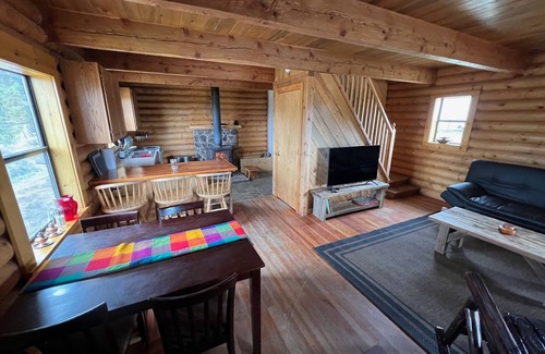 Alturas Cabin | Mountain Cabin Getaway - The Cranky Canard