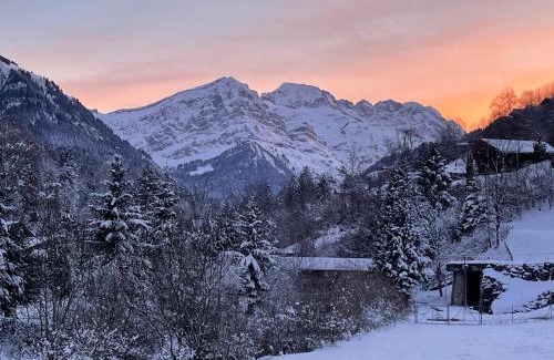 Val d'Illiez Apartment | Mountain River Appart