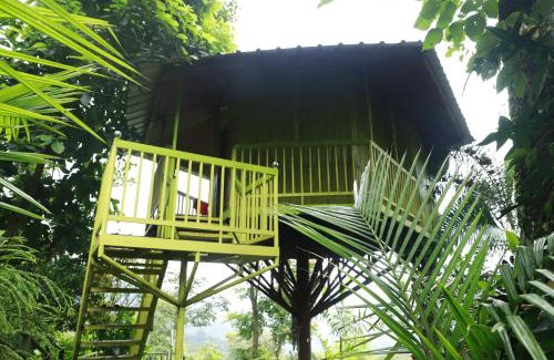 Pallivasal Apartment | Mountain Shadows