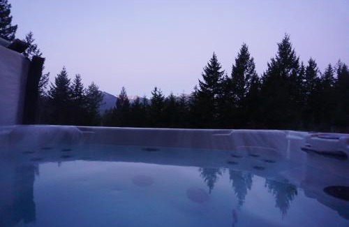 Packwood House | Mountain View Cabin, Hot Tub at Mt Rainier