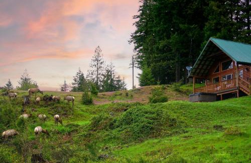 Packwood House | Mountain View Cabin, Hot Tub at Mt Rainier