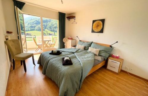 Monthey Apartment | Mountain View