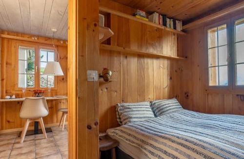Axalp Apartment | Mountainview Fireplace & Garden Bbq