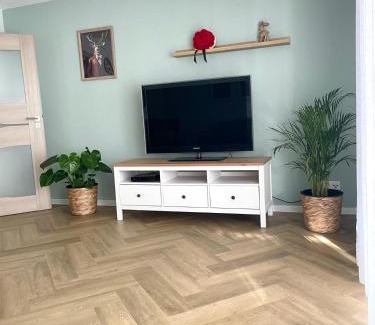 Hausach Apartment | MrHirsch