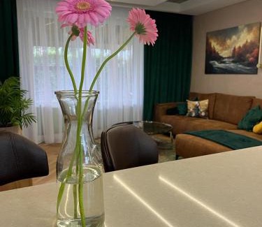 Zywiec Apartment | MS HOUSE Apartament