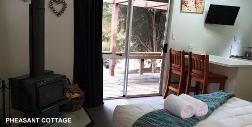 Akaroa Apartment | Mt Vernon