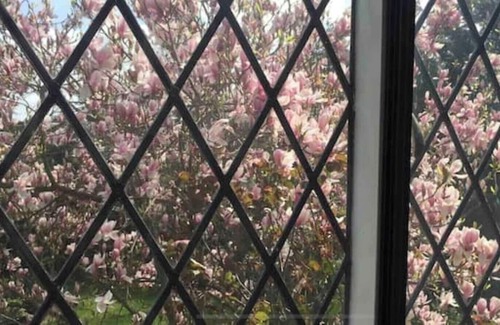Hethel House | Mulberry House is a beautiful large country house