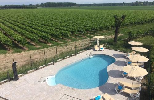 Muscletto Apartment | Musicasa Vacanza