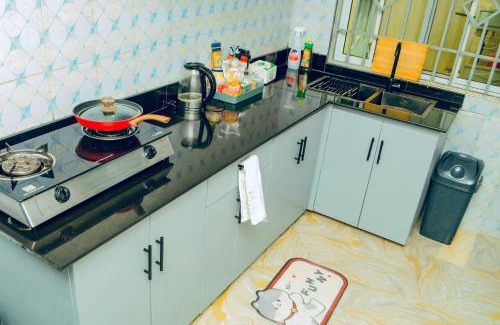 Mwanza Apartment | Mwanza city escape