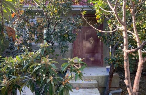 Sheki House | My Cozy house