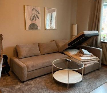 Orebro Apartment | Mysiga Lägenheten Örebro