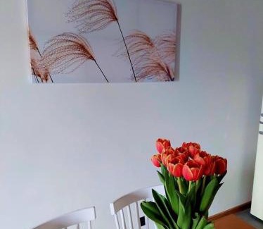 Nowecin House | Na Miłej Nowęcin