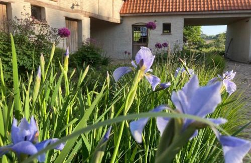 Kluisbergen House | Nachtegael Hoekhuis, knusse woning met prachtig vergezicht