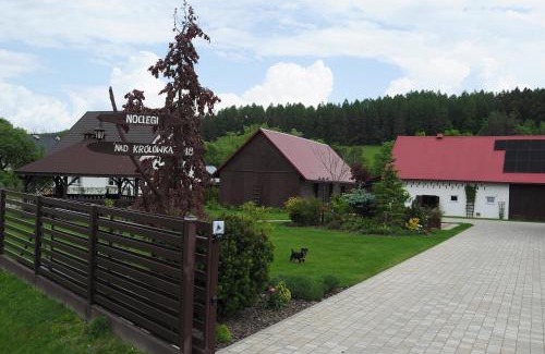 Rabe House | Nad Krolówką