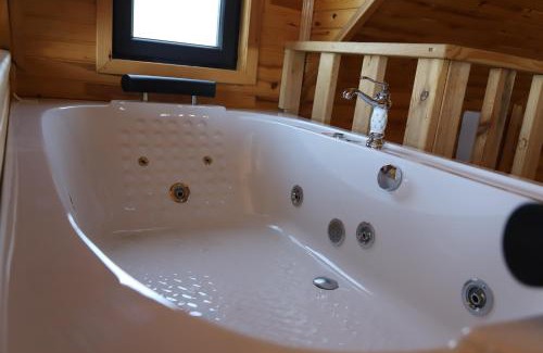 Sapanca House | Naila Bungalov Sapanca Private