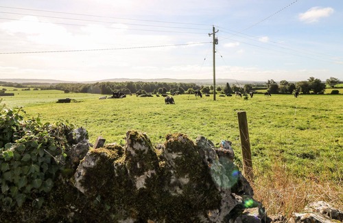 Donaghmore Cottage | NANNY’S, pet friendly, with open fire in Ballacolla, County Laois