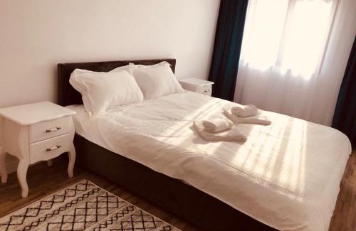 Piatra Neamt Apartment | NARCISA