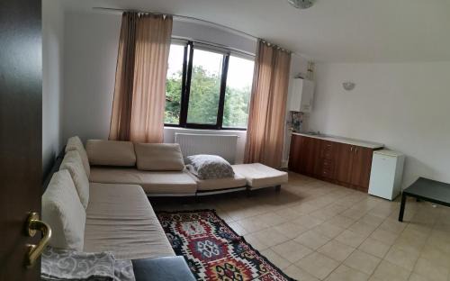 Sarata-Monteoru House | Natalia Guesthouse