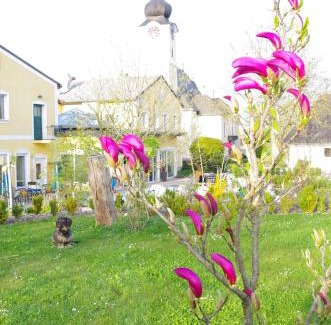 Sankt Marien Hotel | Natur.gut Gartner