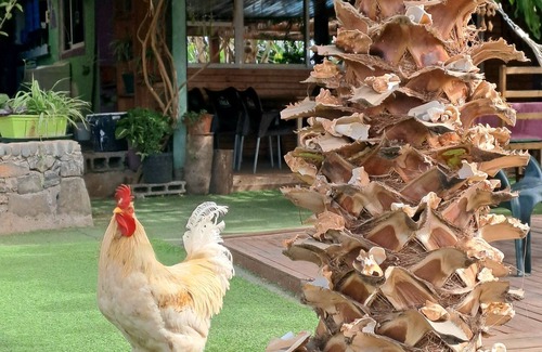 Santiago House | Natural, Cultural. Near to montains and providing a amazing view to the beach.