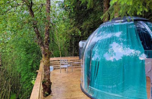 Asane House | Nature GreenDome brgn