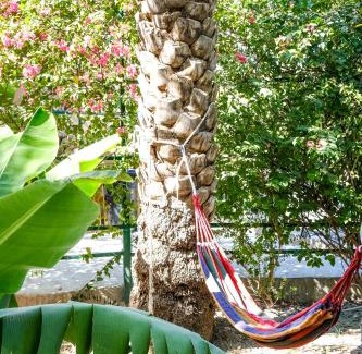 Al Hamra House | Nature House