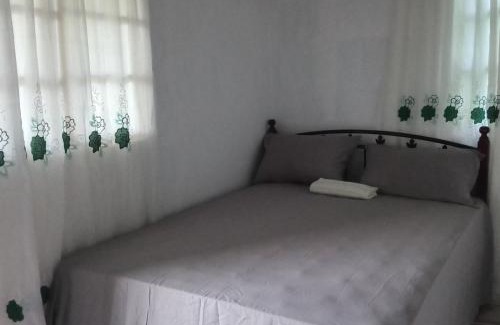 Port Antonio Apartment | Nature in portland Eco Villas