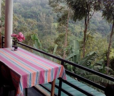 Ella House | Natures glow cottage