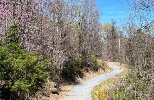 Christiansburg House | Neck of the Woods