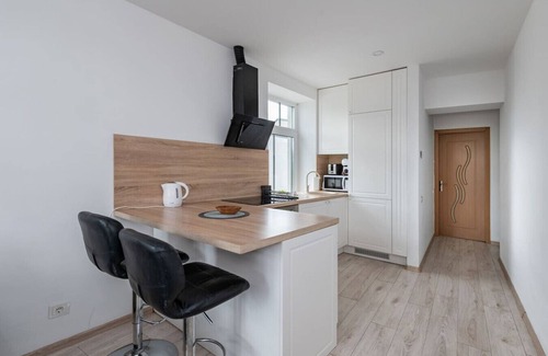 Old Town Apartment | Nemunas River View by Polo Apartments