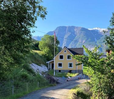 Videseter Villa | Nesje Gardstun