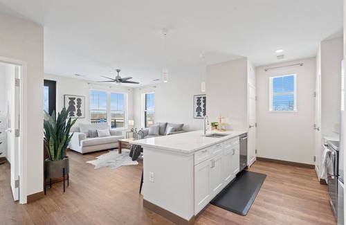 Arlington Apartment | New Apartment Building in Historic Downtown Arlington Depot Square Apt 302