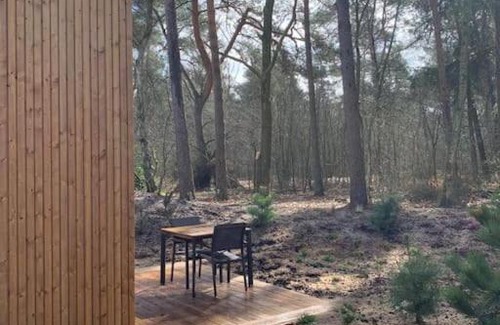 Beekbergen-Zuid House | New Cosy Tiny House in the forest