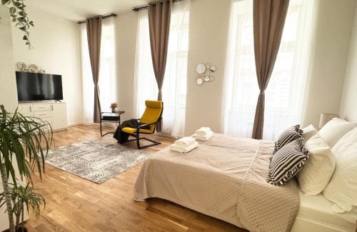 Petrska ctvrt Apartment | New! Deluxe Studio in city centre! Florence!