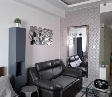 Las Pinas Apartment | New Furnished One Bedroom-SMDC South Residences