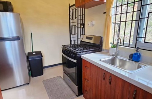 Montego Bay House | NEW LISTING! Charming 2-bedroom house in marvelous St.Bran's Burg with AC, WiFi
