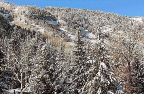 Aspen Condo | New Listing! Stylish & Convenient Aspen Rental. Wood FP, Heated Outdoor Pool. 3 Blks To Town/Lift