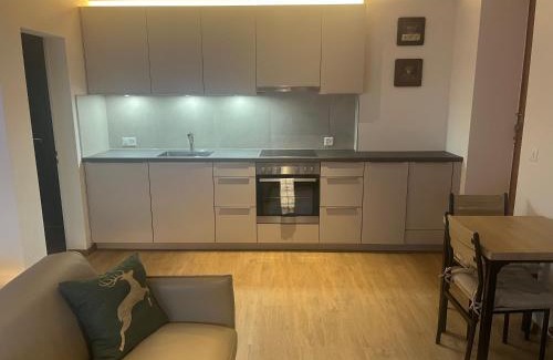 Hünibach Apartment | New renovated Studio in Chalet Kuckuk