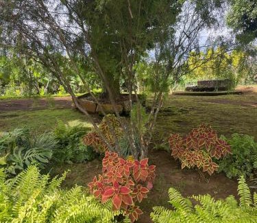 Masaya Villa | Newly Remodeled Villa Las Flores, 11 guests