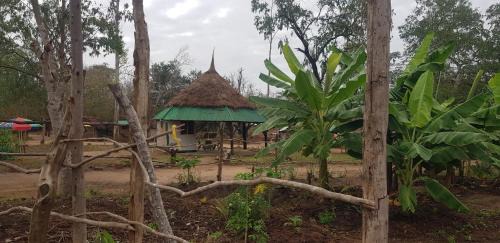 Ubena Bwawani Cabin | Ngerengere River Eco camp