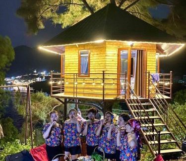 Soc Son Cabin | Nhà trên cây
