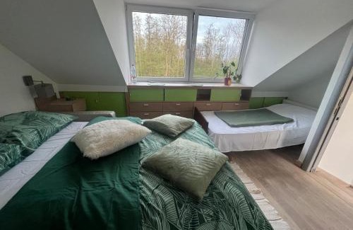 Mechelen House | Nice Accommodati on 5 minutes from the center Goca 2