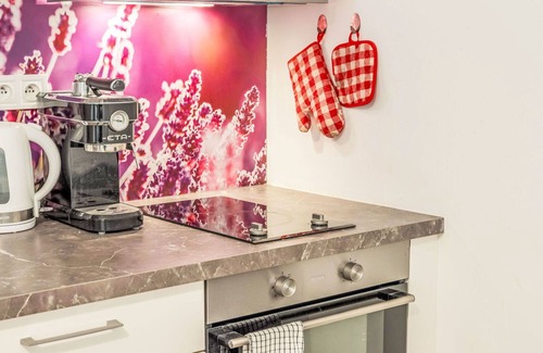 Nove Mesto Apartment | Nice apartment for 6 guests with WIFI, TV and pets allowed