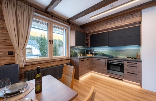Dolni Morava Apartment | Nice apartment for 6 guests with WIFI, TV and terrace