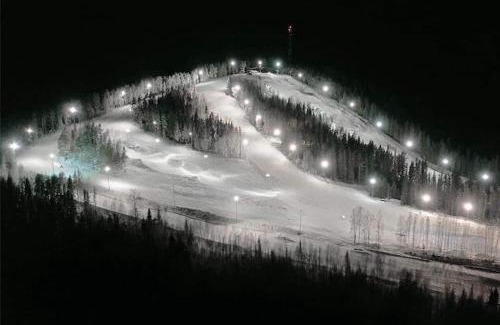 Bollnas House | Nice ski in ski out cabin