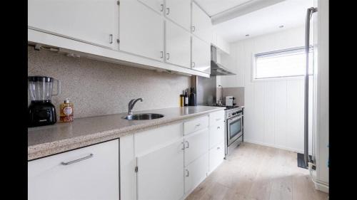 Amsterdam House | Nice Spacious House Near Amsterdam And Schiphol