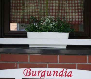 Zywiec House | Niewinne domki - Burgundia